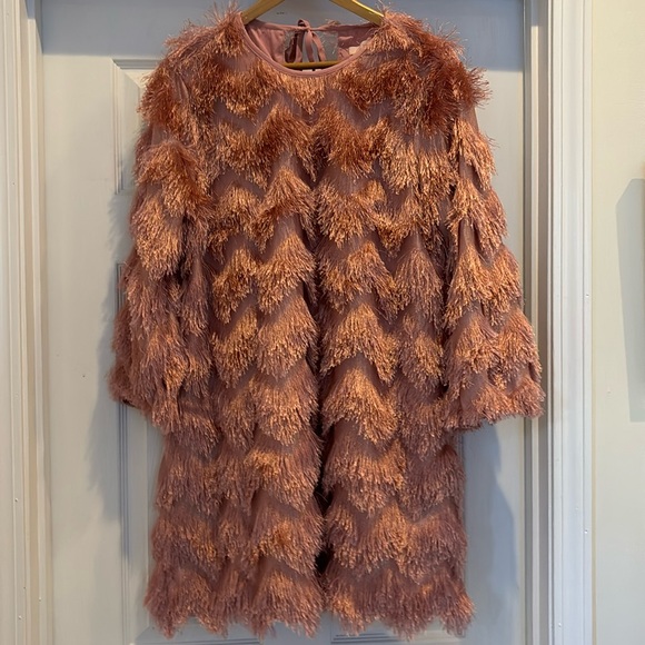 Hutch Fringed Chevron Dress from Anthropologie - Picture 8 of 9